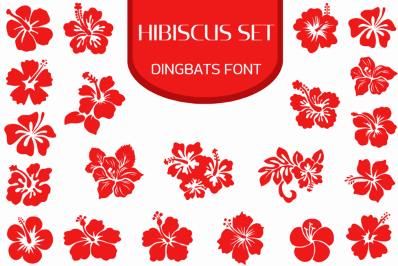 Hibiscus Set: A Creative Font for Small Business Branding