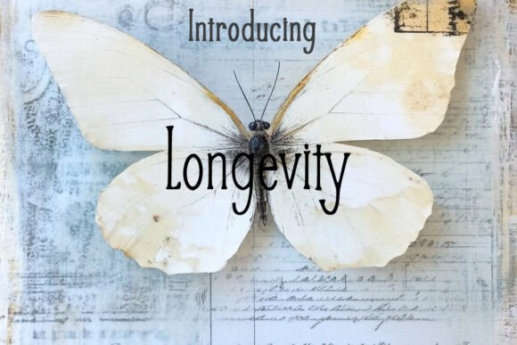 Longevity Serif Font for Handmade Creations